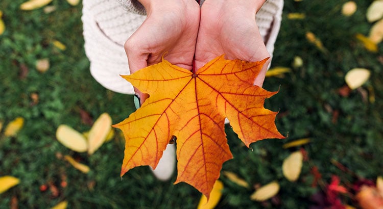 5 Reasons to Sell This Fall | Simplifying The Market